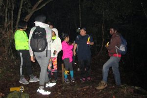 Cameron-Highlands-Night-Jungle-Walk-Tour